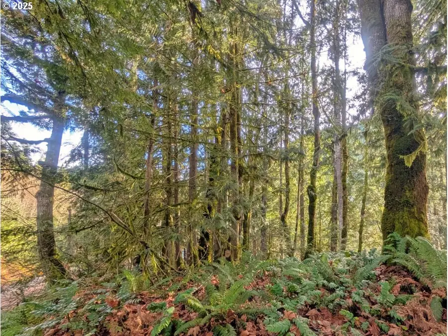 00971354 E Rolling Green Ct, Welches, OR 97067 - Image #3