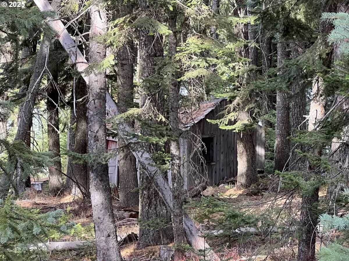 59744 Rommel Ln, Weston, OR 97886 - Image #1