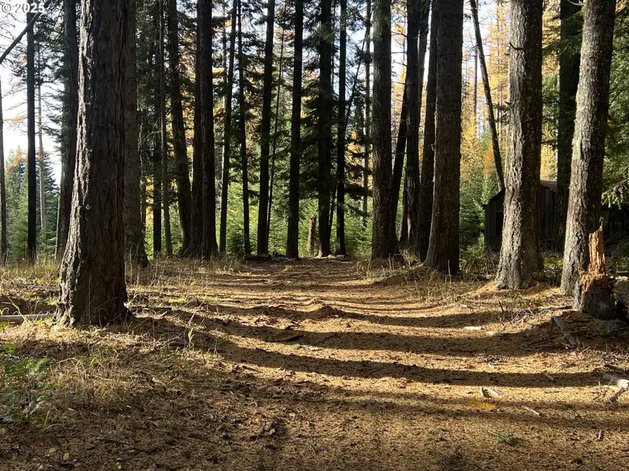 59744 Rommel Ln, Weston, OR 97886 - Image #3