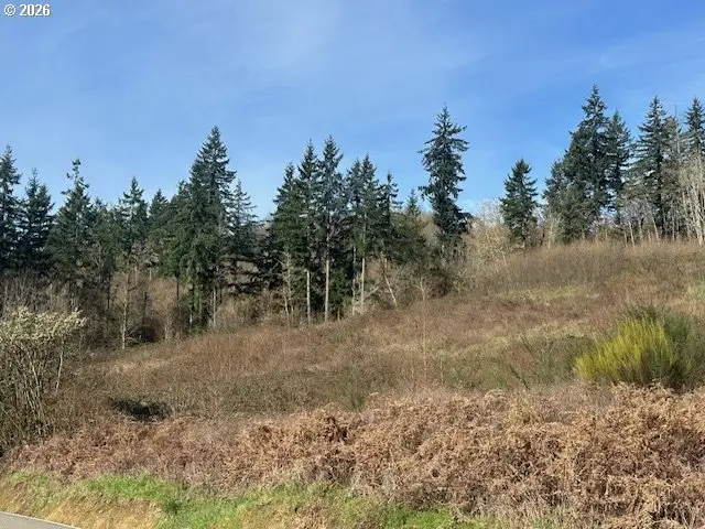 0 NE Jenny Creek Road, La Center, WA 98629 - #1