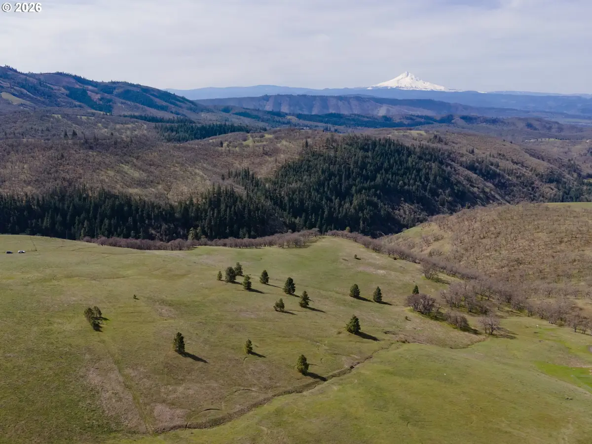 60 Hartwig Rd, Lyle, WA 98635 - #1