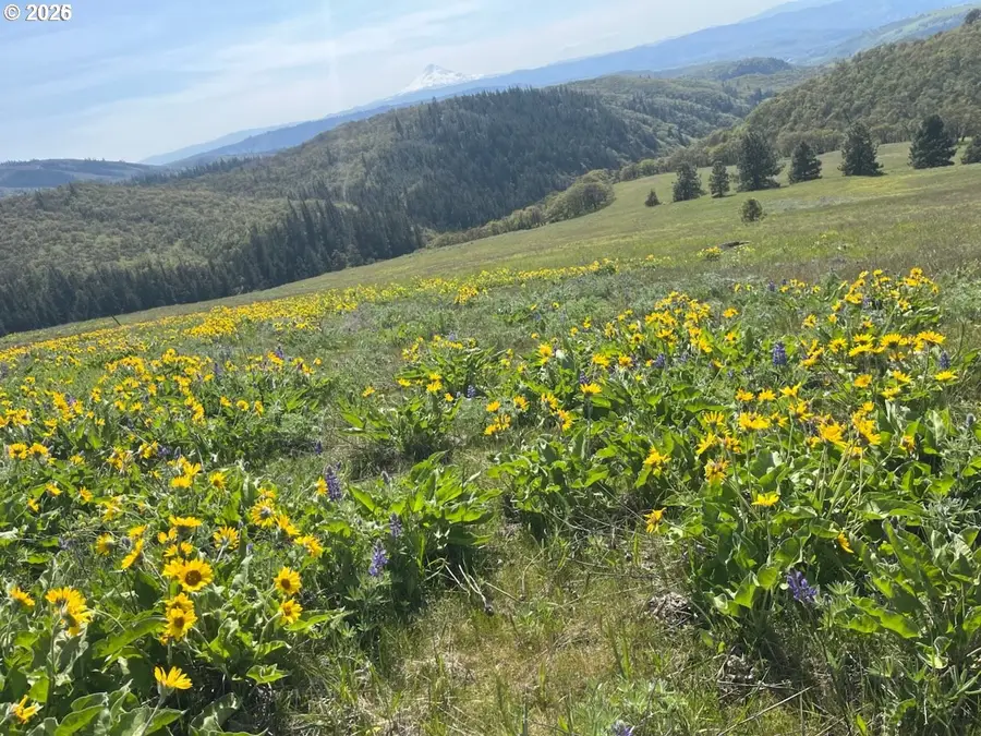 60 Hartwig Rd, Lyle, WA 98635 - #2