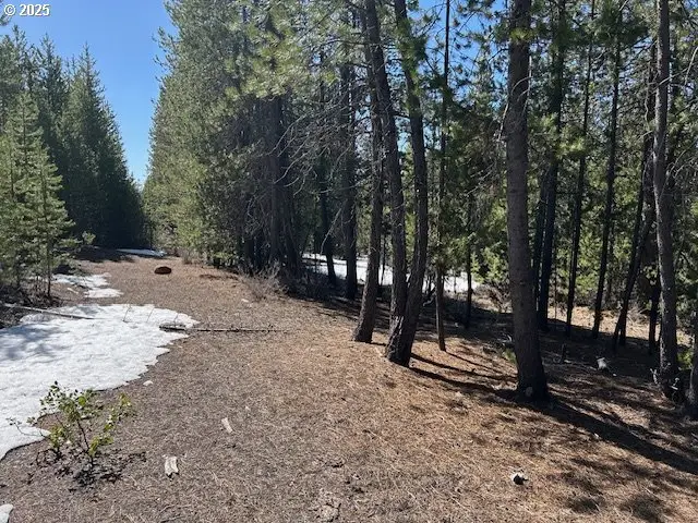 33 Emerald Meadows Way, Crescent Lake, OR 97733 - #2