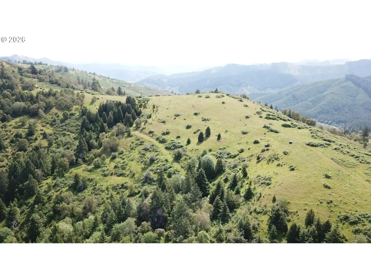 8143 Tiller Trail Hwy, Canyonville, OR 97417 - #1
