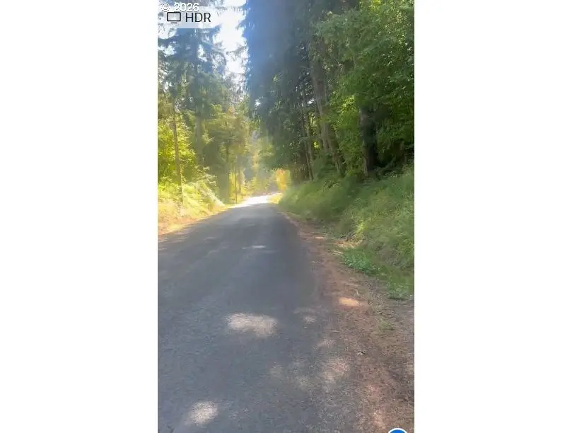 00 Adj 82050 Red Bluff Rd, Elsie, OR 97138 - #2
