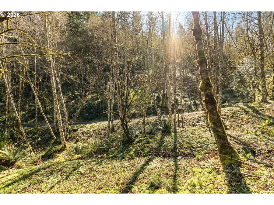 NE 5th St, Washougal, WA 98671 - #3