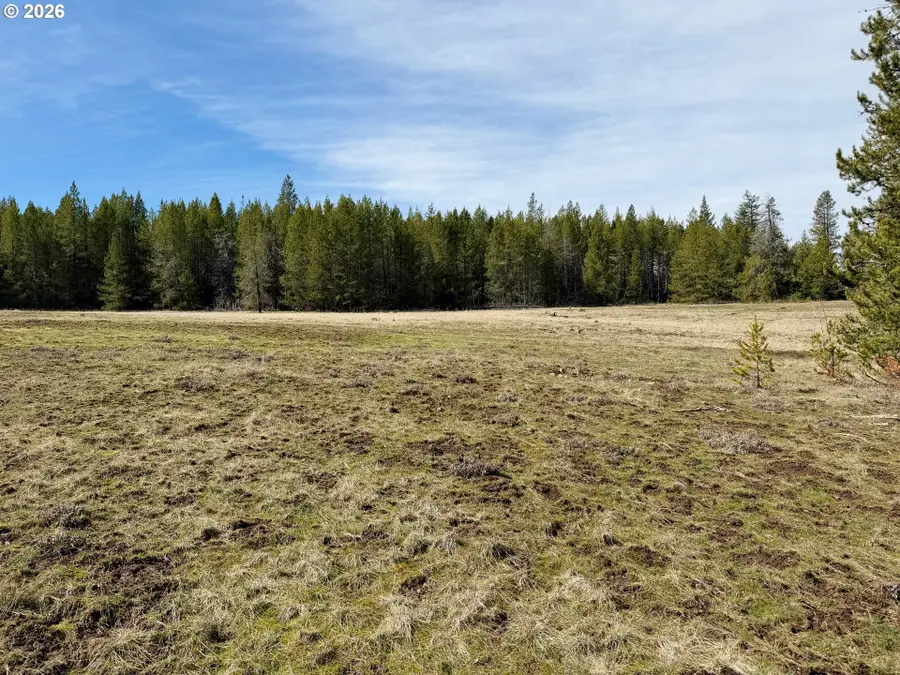 64796 Wapiti Ln, Meacham, OR 97859 - #2