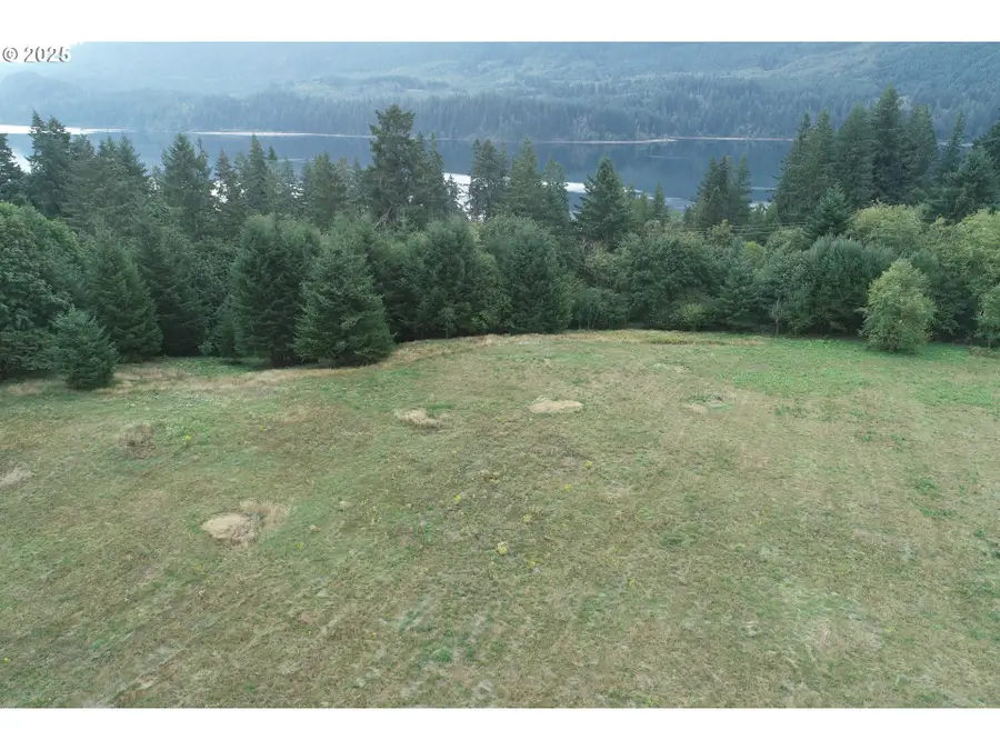 290 Wilkinson Rd #4, Ariel, WA 98603 - Image #2