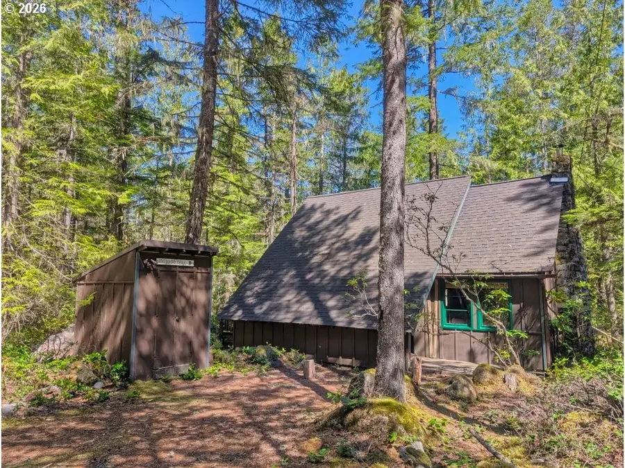 73867 Nf-20e Lot 9, Rhododendron, OR 97049 - #3