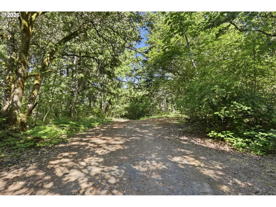 Piper Rd, Stevenson, WA 98648 - #3