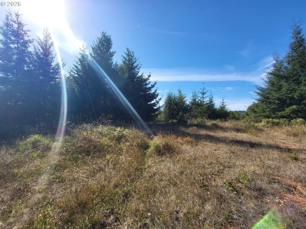 93875 Hollow Stump Ln, North Bayside, OR 97459 - #1