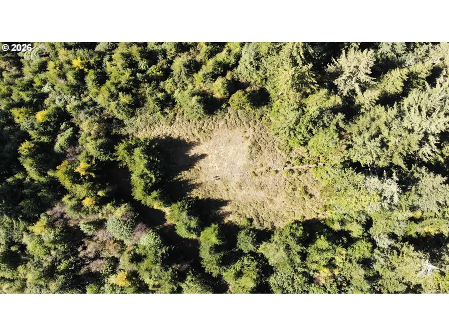 93875 Hollow Stump Ln, North Bayside, OR 97459 - #2