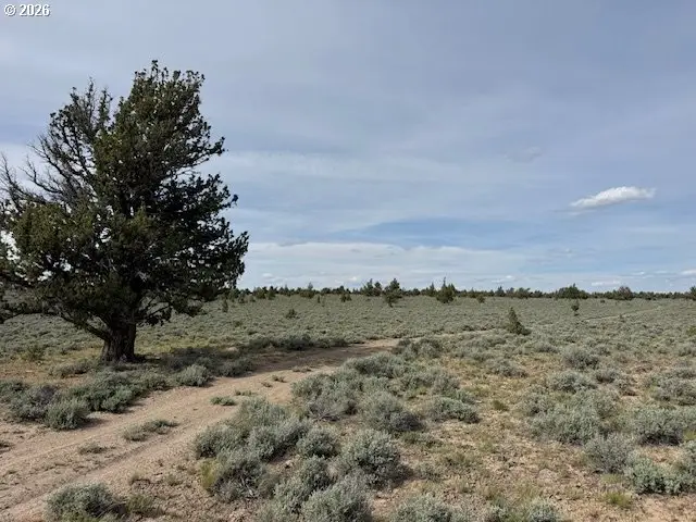 Blm 61-21 Rd #700, Silver Lake Fort Rock, OR 97641 - #1