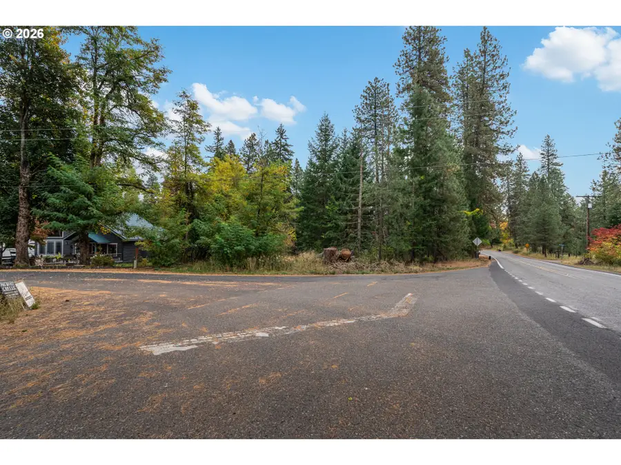 2438 Highway 141, Trout Lake, WA 98650 - #3