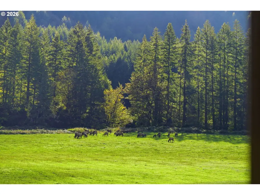 3380 N Fork Smith River Rd, Reedsport, OR 97467 - #3