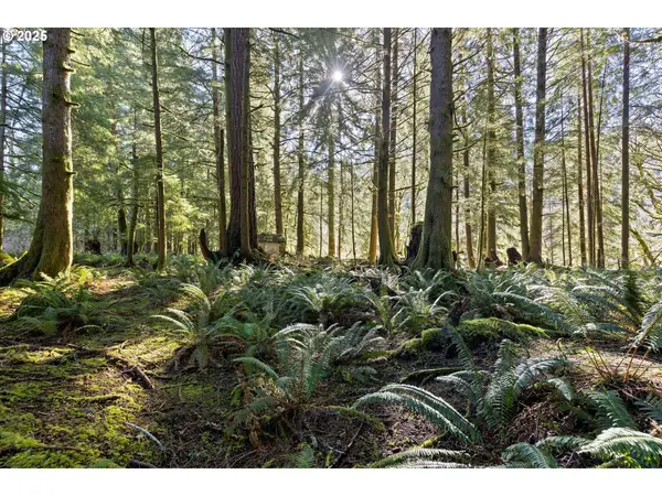 N Stockton Rd #TL 2700, Otis, OR 97368