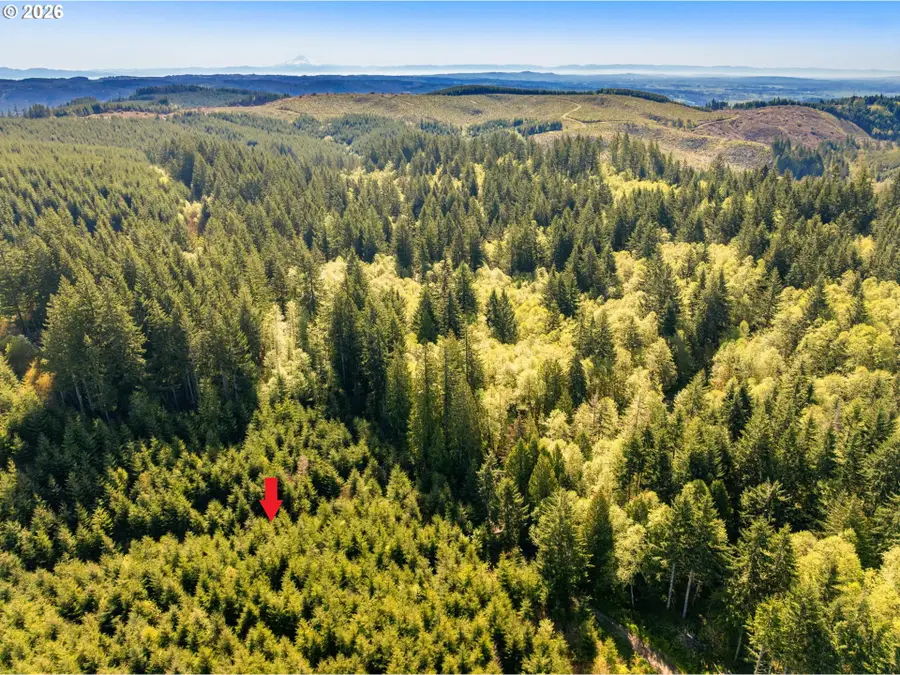0 NW Hidden Mountain Dr, Banks, OR 97106 - #3