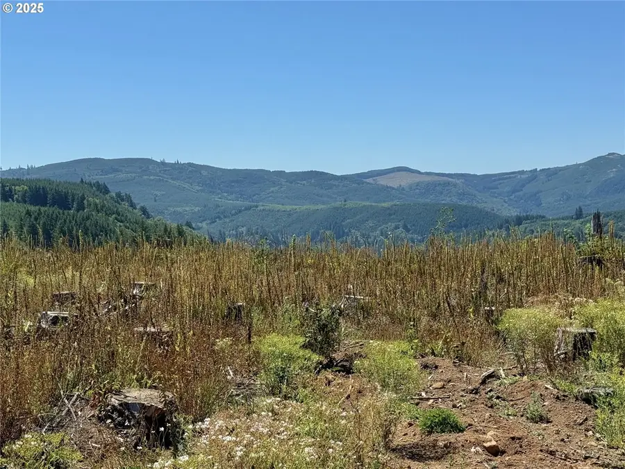 3700 Little Kalama River Rd #6, Woodland, WA 98674 - #2