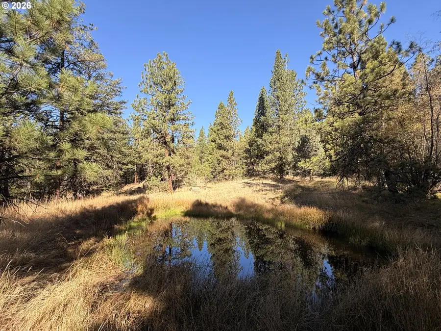 0 Hwy 395, Johnday, OR 97845 - #2