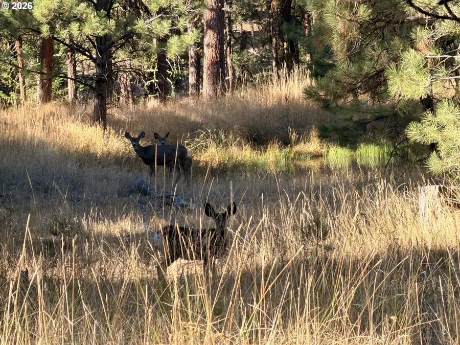 0 Hwy 395, Johnday, OR 97845 - #3