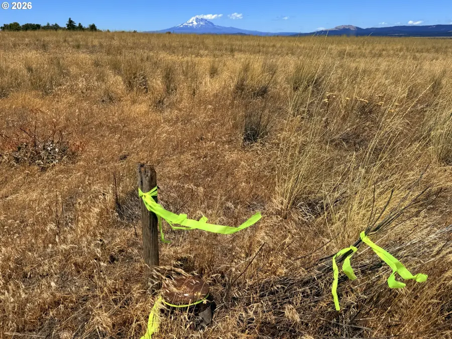 Erickson Rd #32, Goldendale, WA 98620 - #3