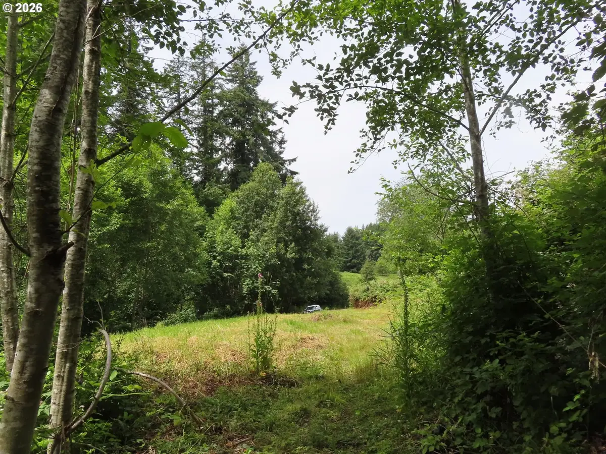 Coleman Rd, Mossyrock, WA 98564 - #1