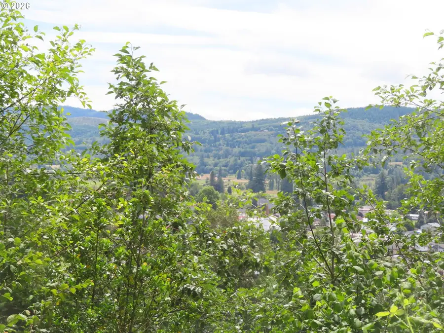 Coleman Rd, Mossyrock, WA 98564 - #3