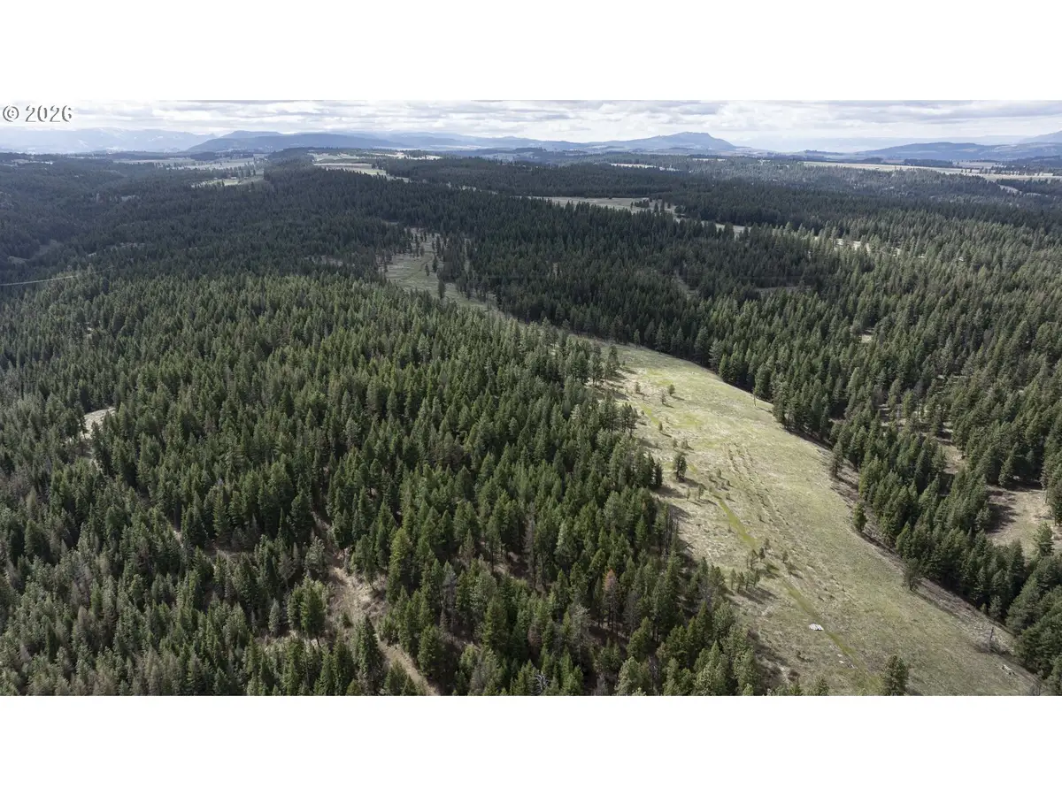 0 Yarrington Rd, Elgin, OR 97827 - #1