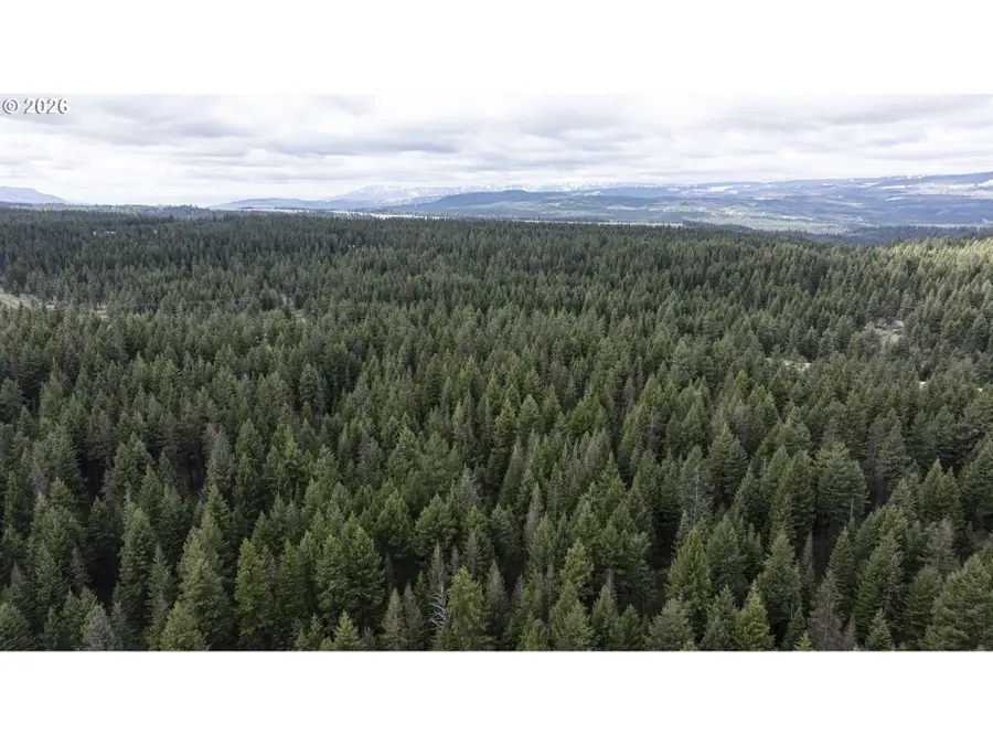 0 Yarrington Rd, Elgin, OR 97827 - #3