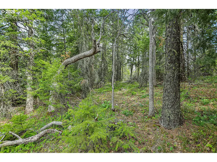Nka N Lake Dr #24, Goldendale, WA 98620 - #2