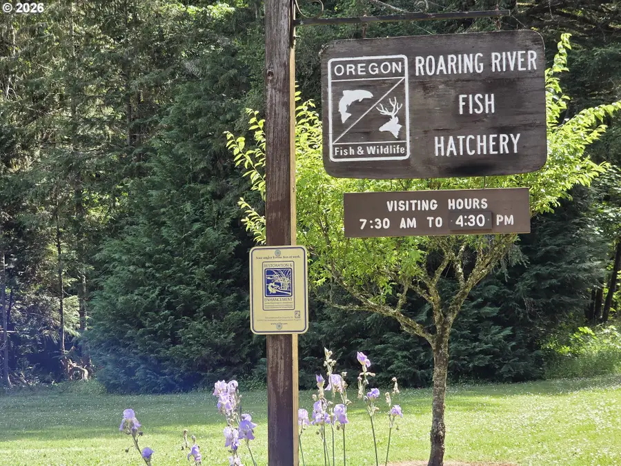 00 Fish Hatchery Dr, Scio, OR 97374 - #3