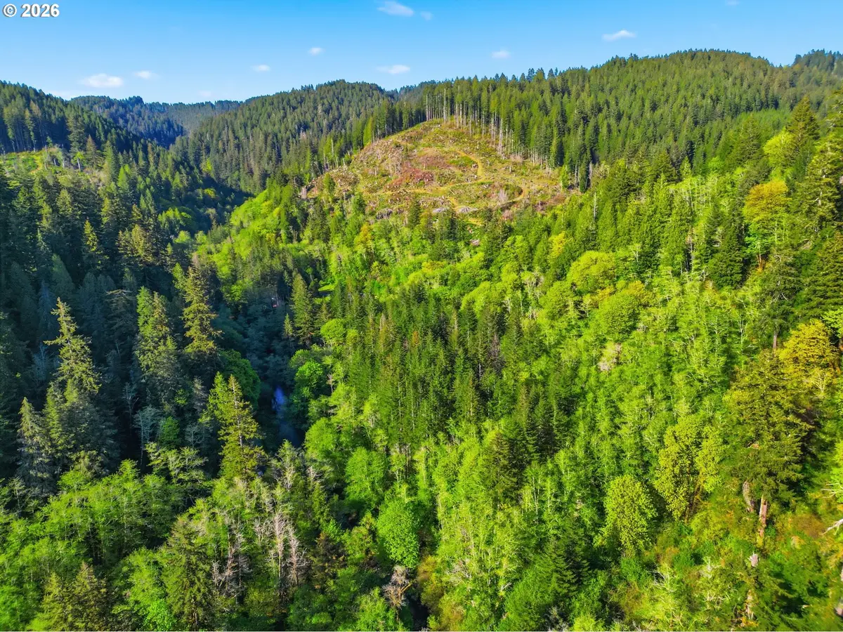 Upper North Ford Rd, Florence, OR 97439 - #1