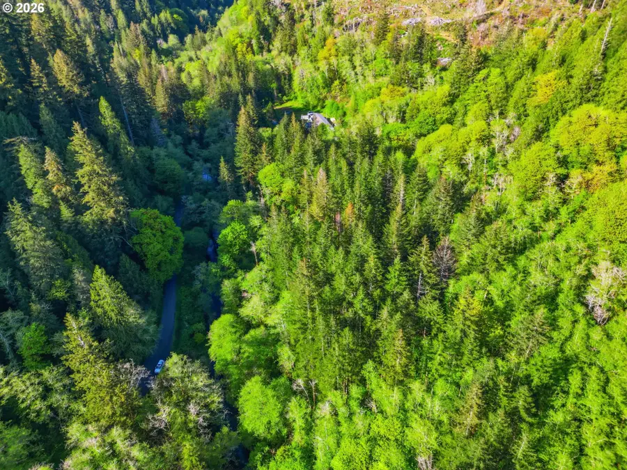 Upper North Ford Rd, Florence, OR 97439 - #2