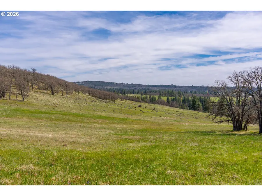 Piney Woods, Goldendale, WA 98620 - #2