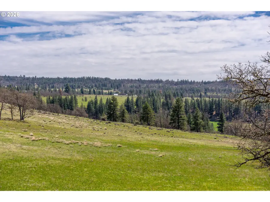 Piney Woods, Goldendale, WA 98620 - #3