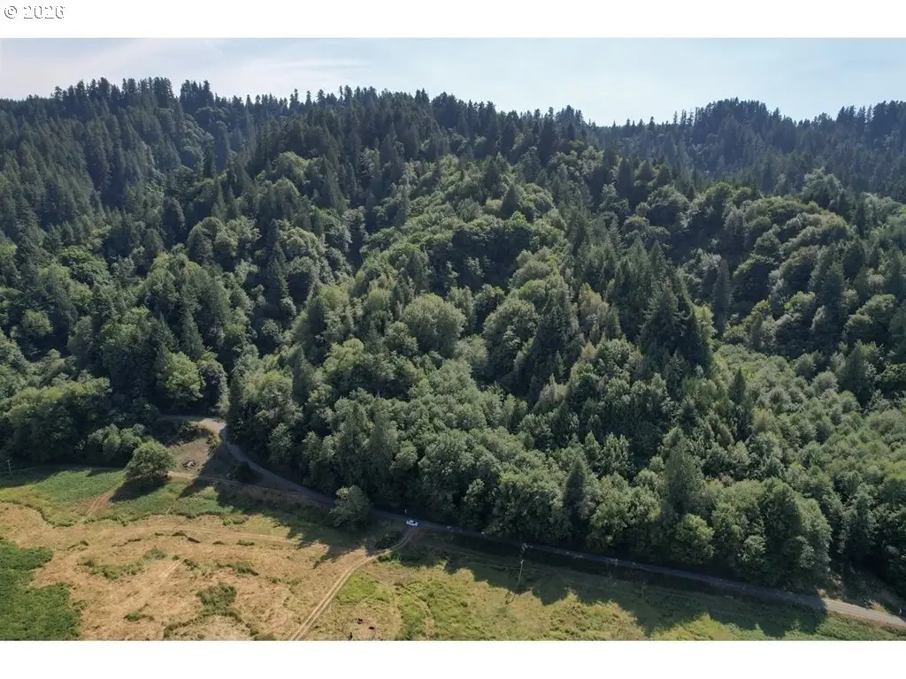 00 Stian Smith Rd., Eastside, OR 97420 - #1