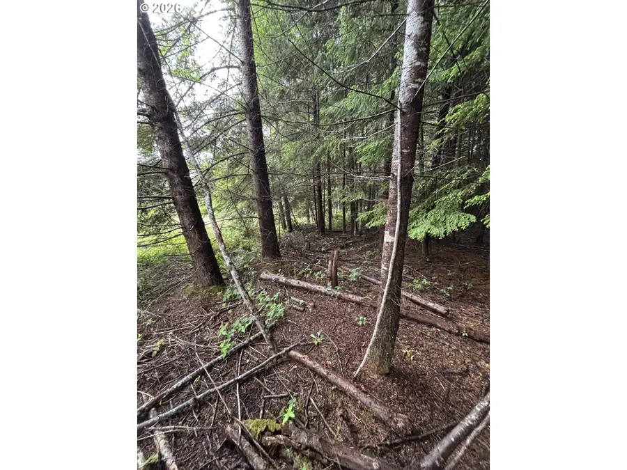 Timber Lane, Coos Bay, OR 97420 - #3