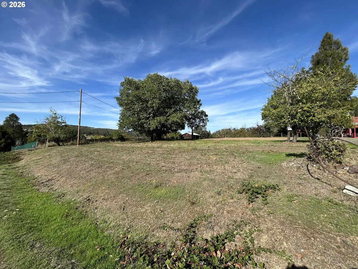 1545 Old Town Loop Rd, Oakland, OR 97462 - #1
