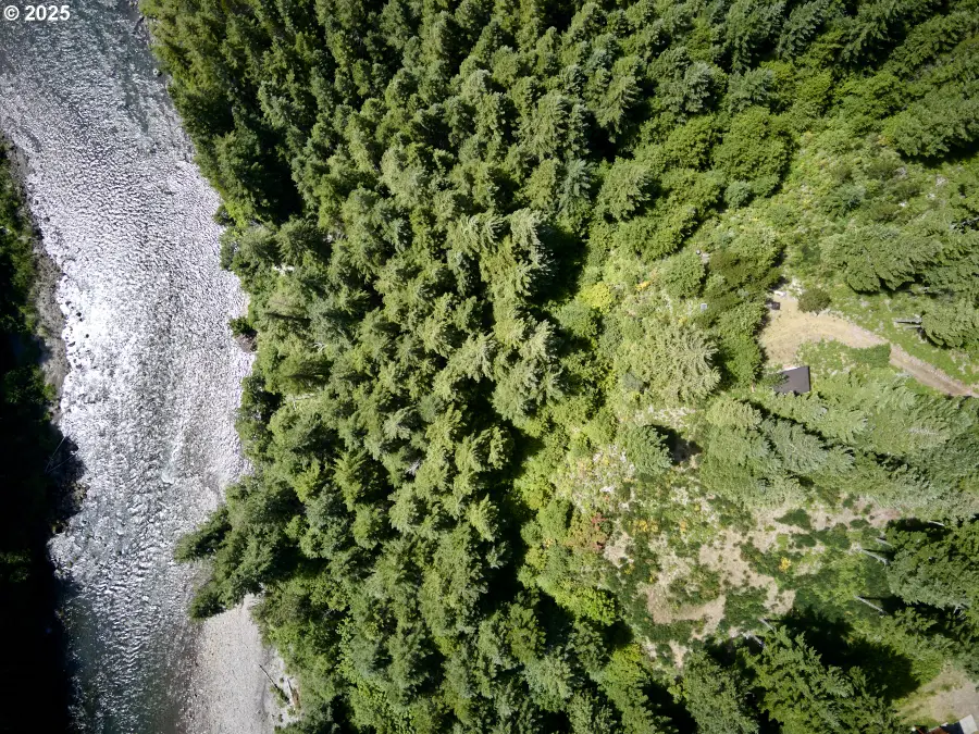 Phyllis Block Ann Ct, Cougar, WA 98616 - #2