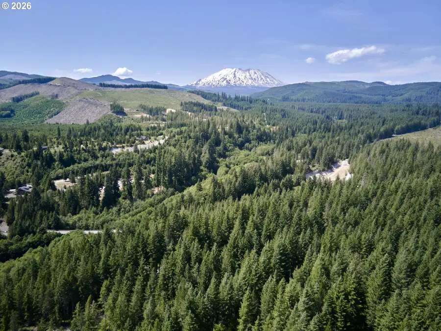 Phyllis Block Ann Ct, Cougar, WA 98616 - #3