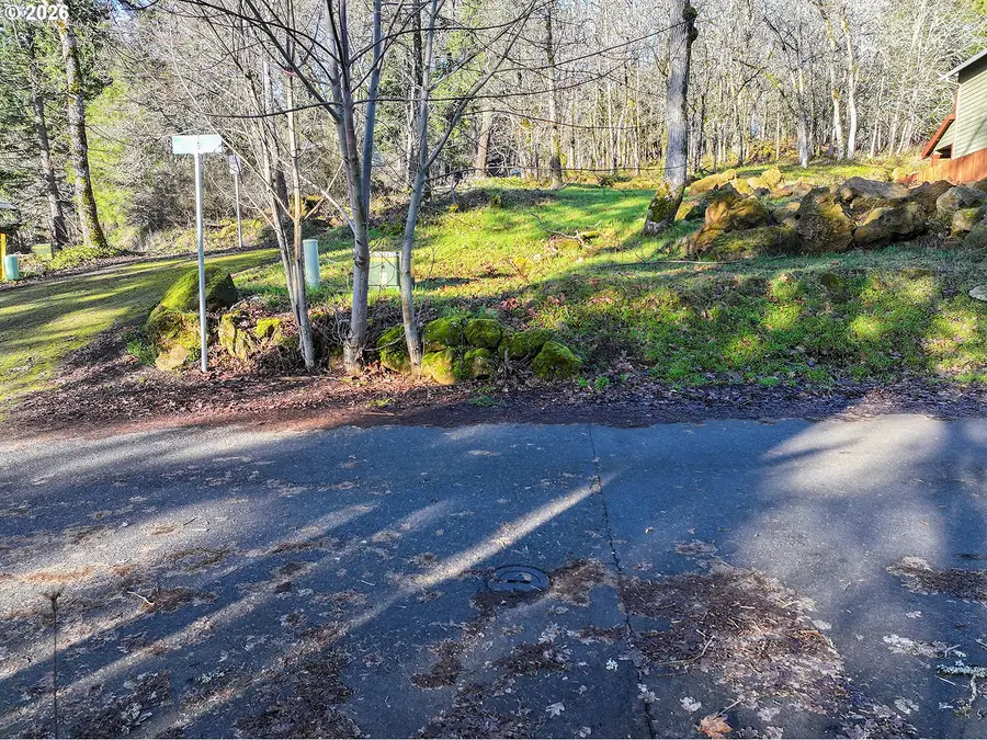 912 Hillside Ln, White Salmon, WA 98672 - #3