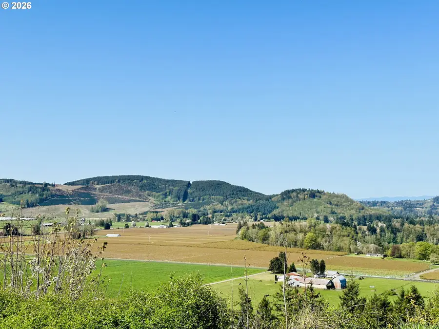 295 Degoede Dr, Mossyrock, WA 98564 - #2