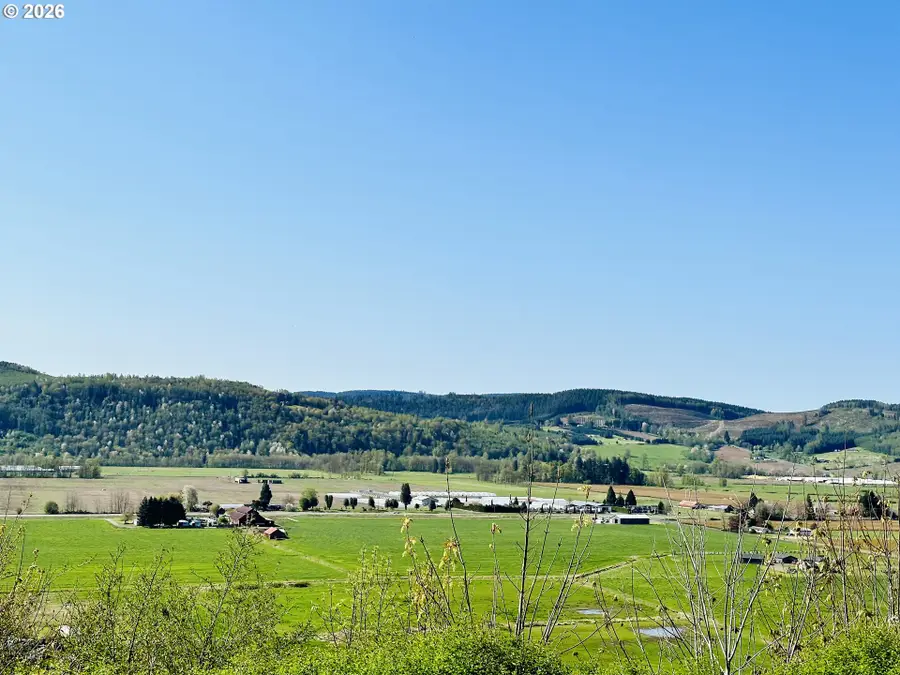 295 Degoede Dr, Mossyrock, WA 98564 - #3