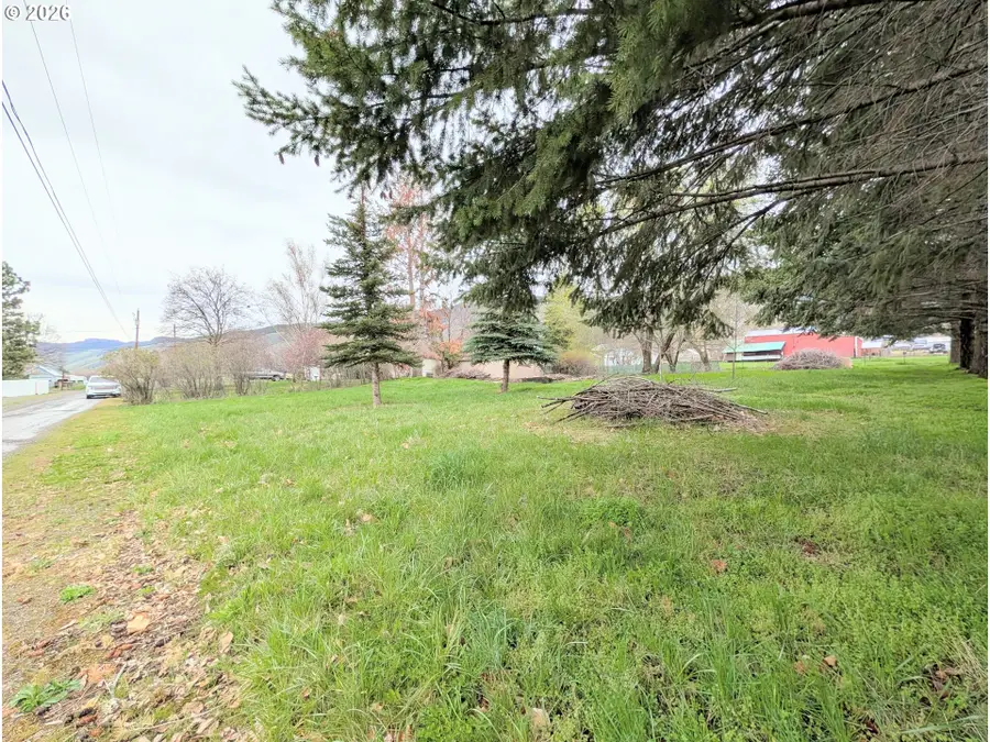 60923 Overlook Dr, Cove, OR 97824 - #2