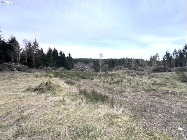 Cochran Rd, Timber, OR 97144 - #3