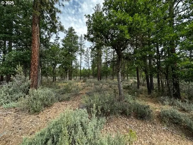 71 Teal Ln, Goldendale, WA 98620 - Image #3