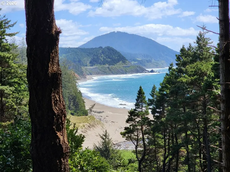 93204 Cemetery Loop Rd, Port Orford, OR 97465 - #2