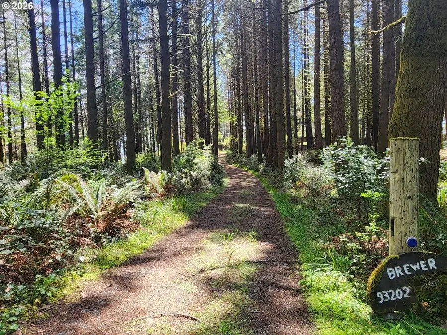 93204 Cemetery Loop Rd, Port Orford, OR 97465 - #3