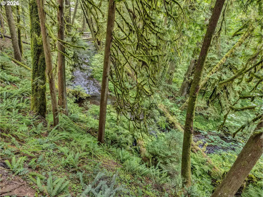 26467 E Henry Creek Rd, Rhododendron, OR 97049 - Image #2