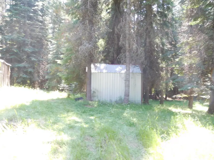 78228 Snowshoe Ln, Weston, OR 97886 - #3
